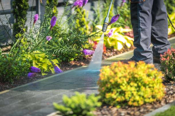 Professional Pressure Washing Services in Mercerville, NJ